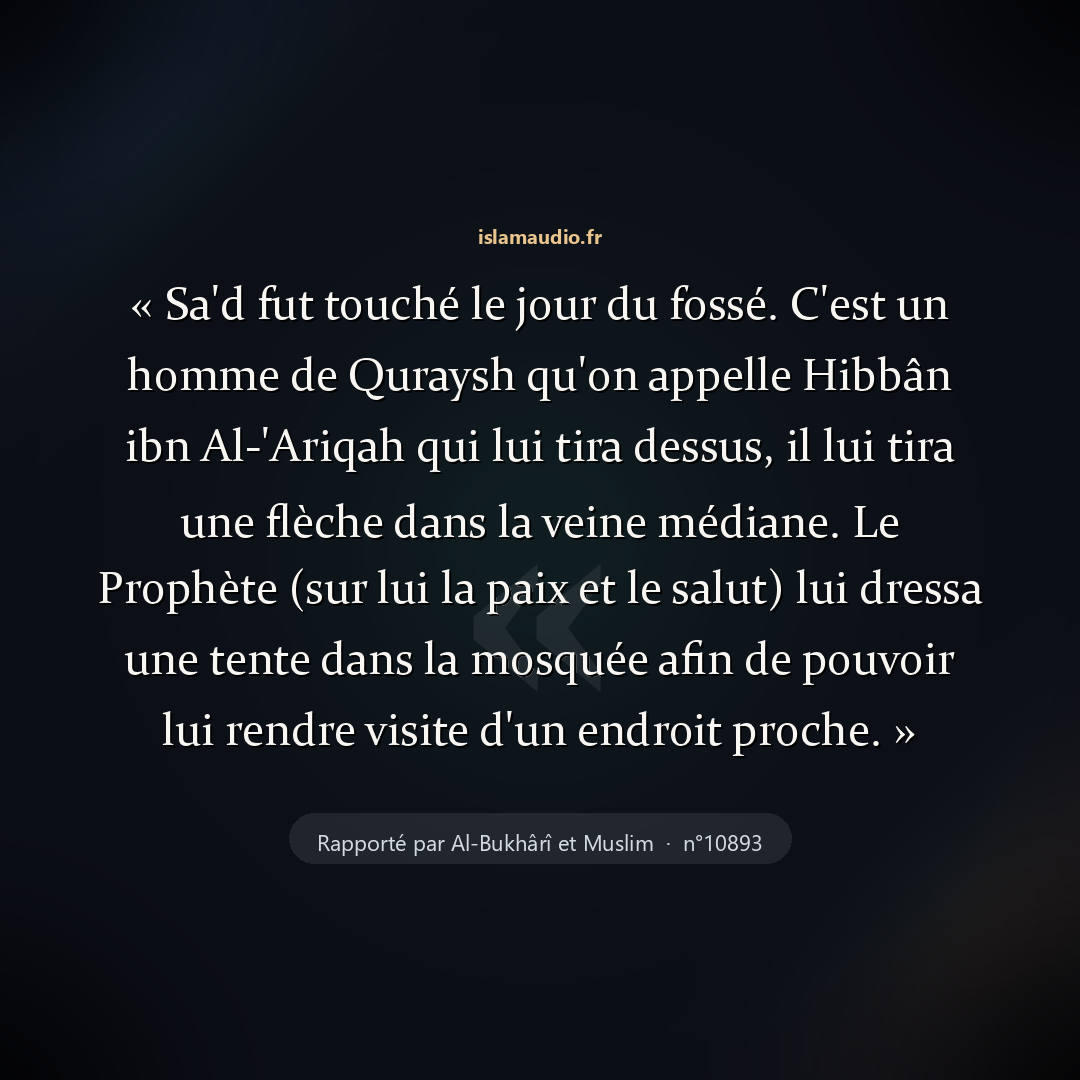 Aperçu du hadith