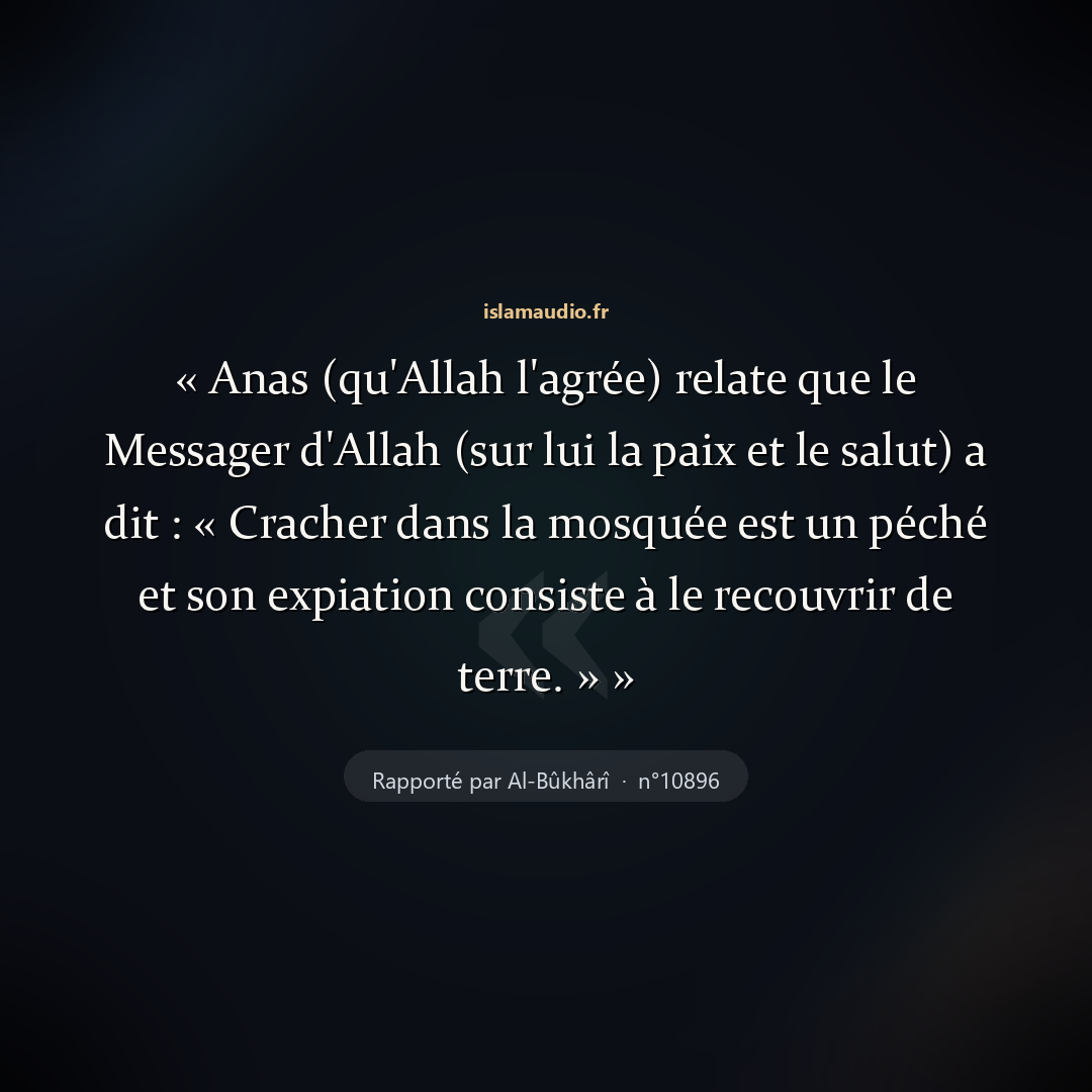 Aperçu du hadith