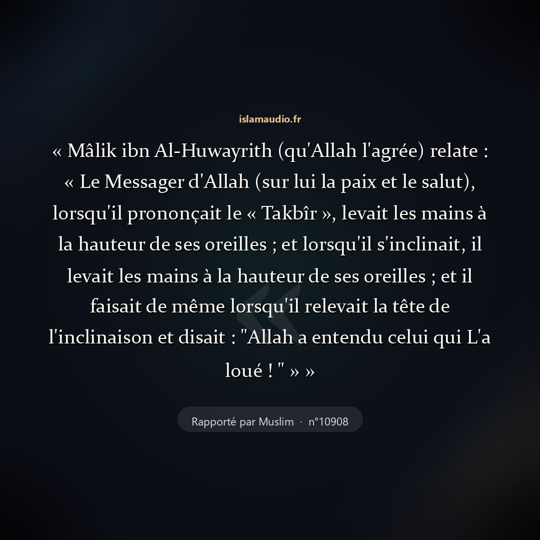 Aperçu du hadith