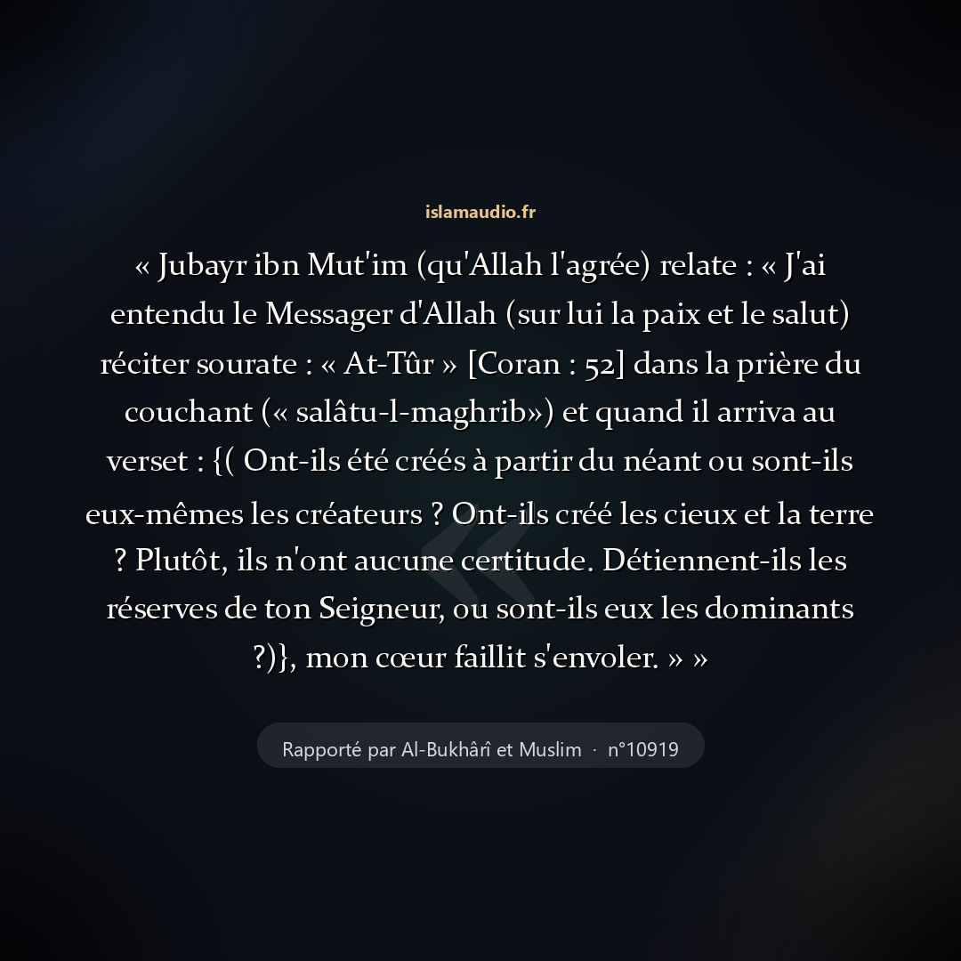 Aperçu du hadith