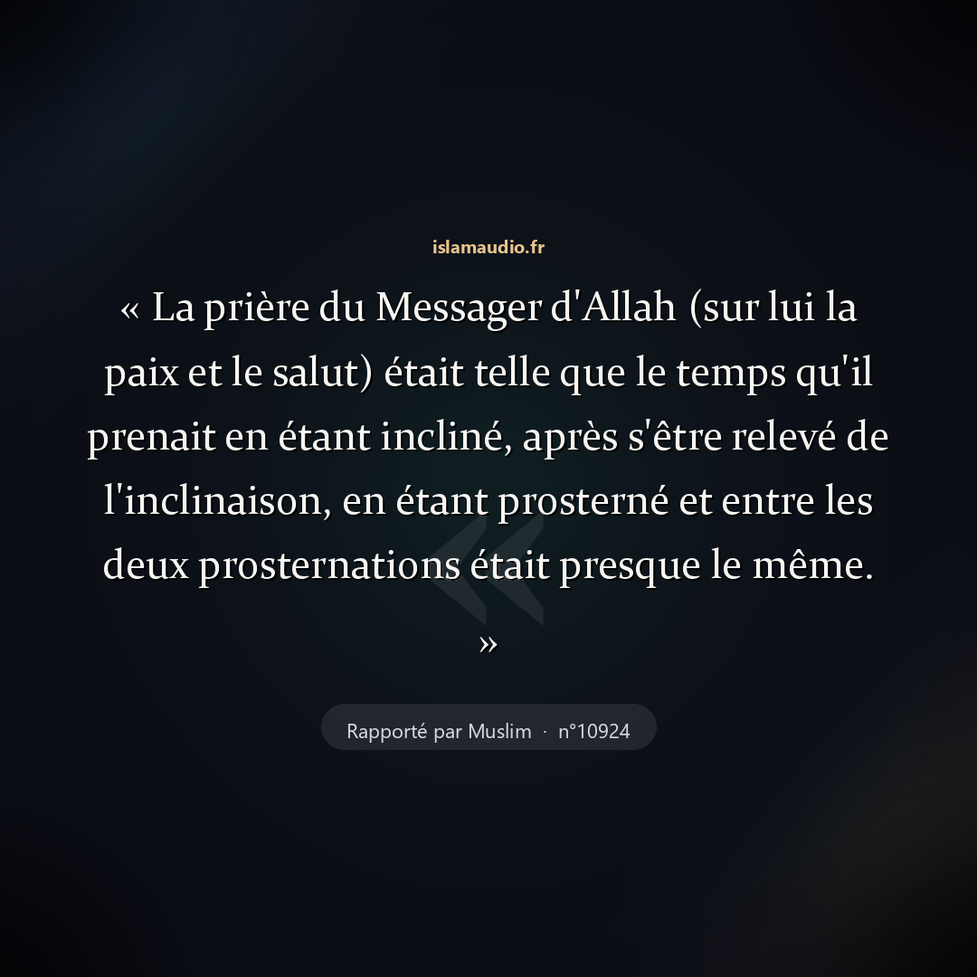 Aperçu du hadith