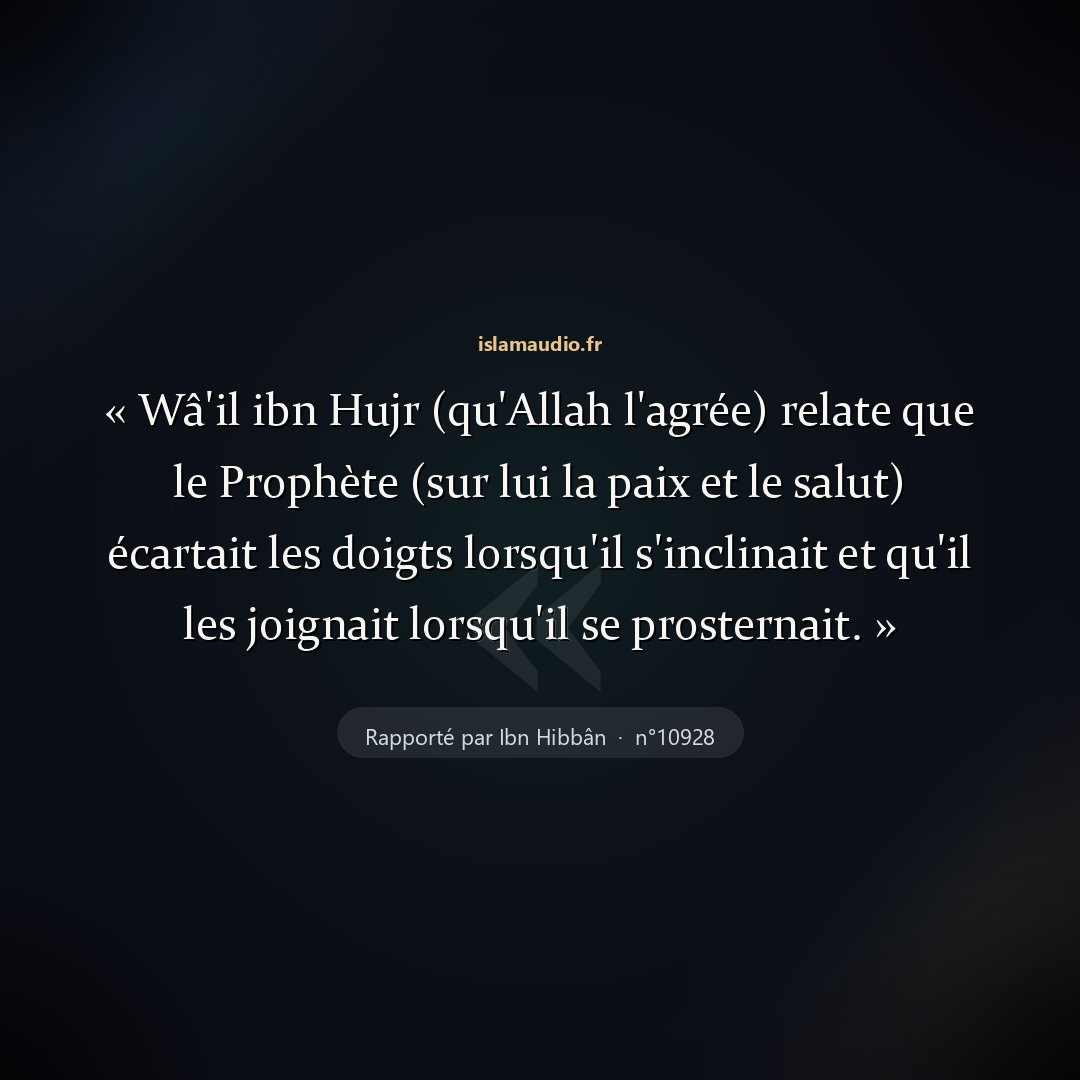 Aperçu du hadith