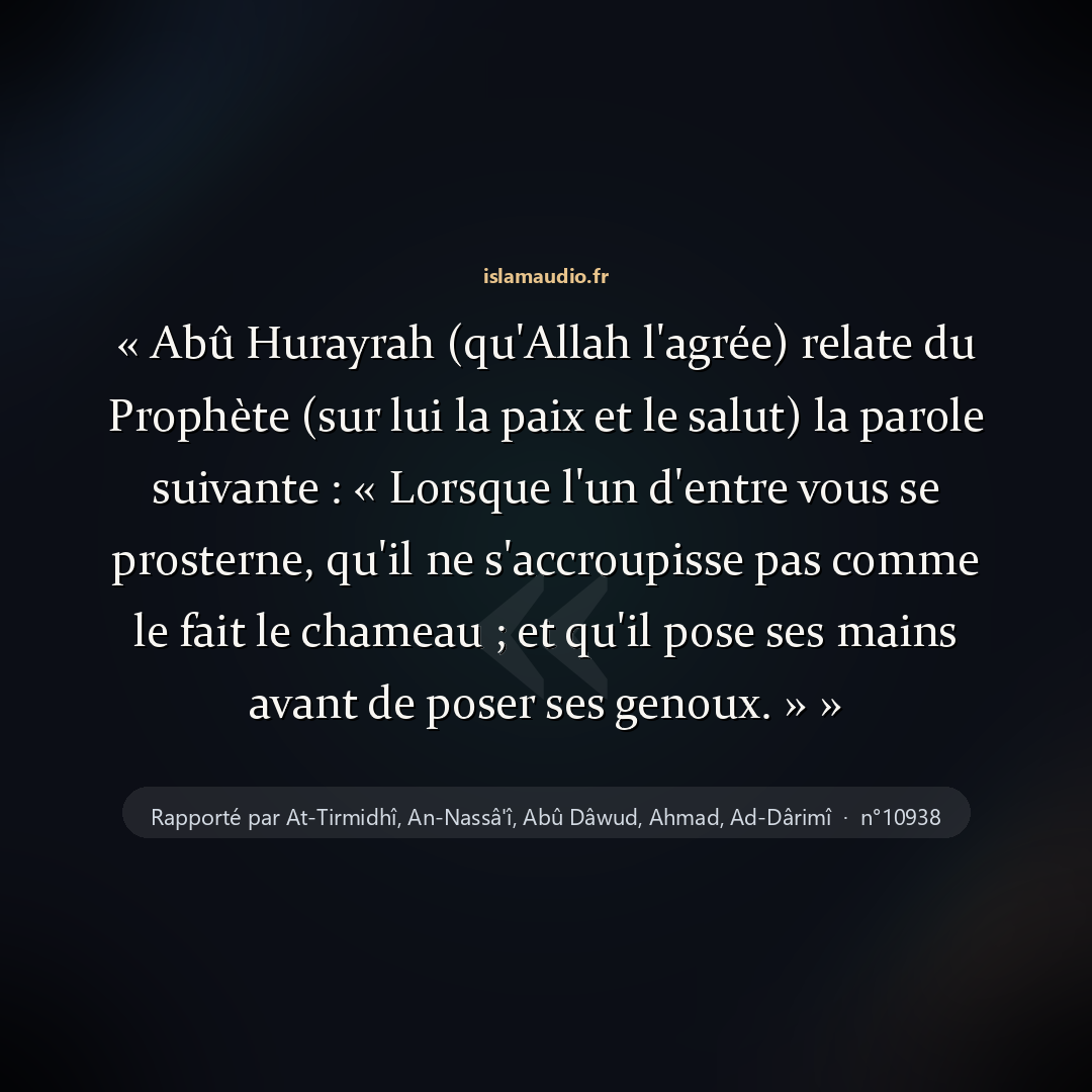Aperçu du hadith