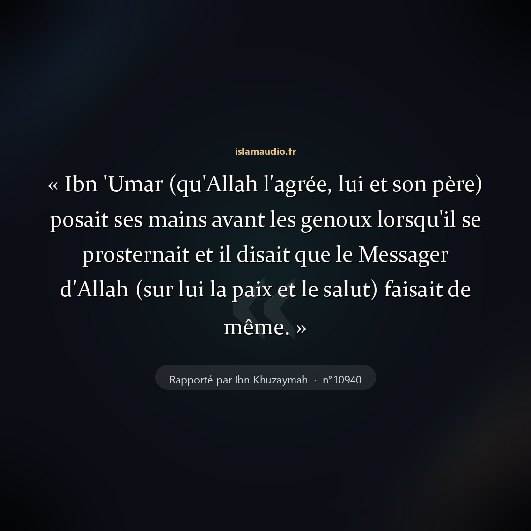 Aperçu du hadith