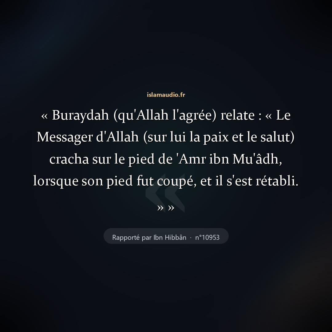 Aperçu du hadith