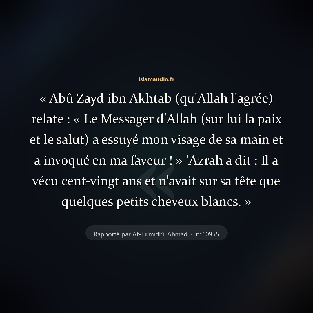 Aperçu du hadith