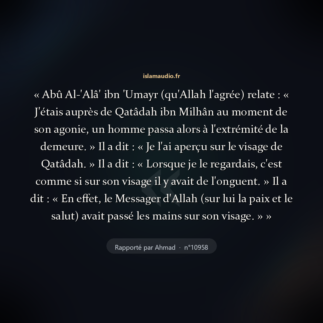 Aperçu du hadith