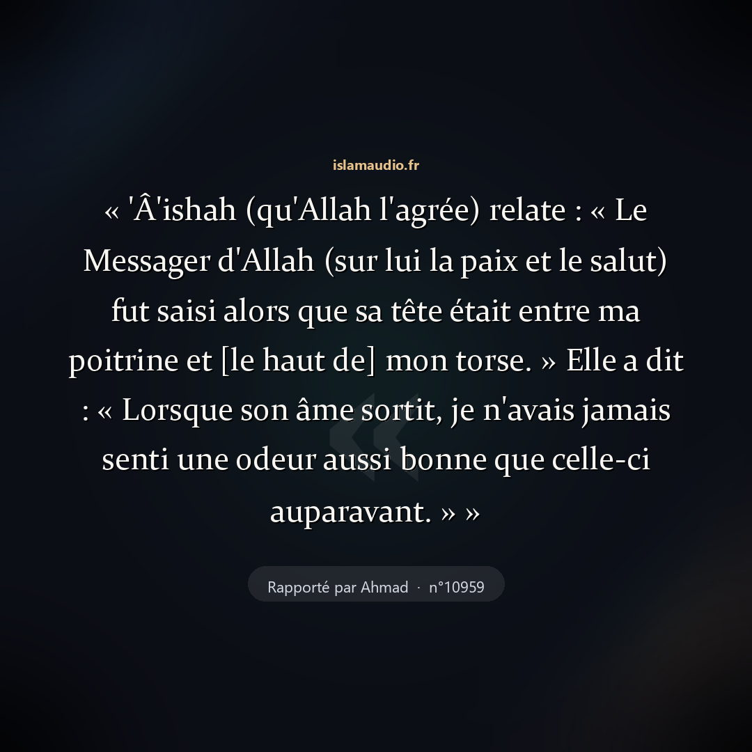 Aperçu du hadith
