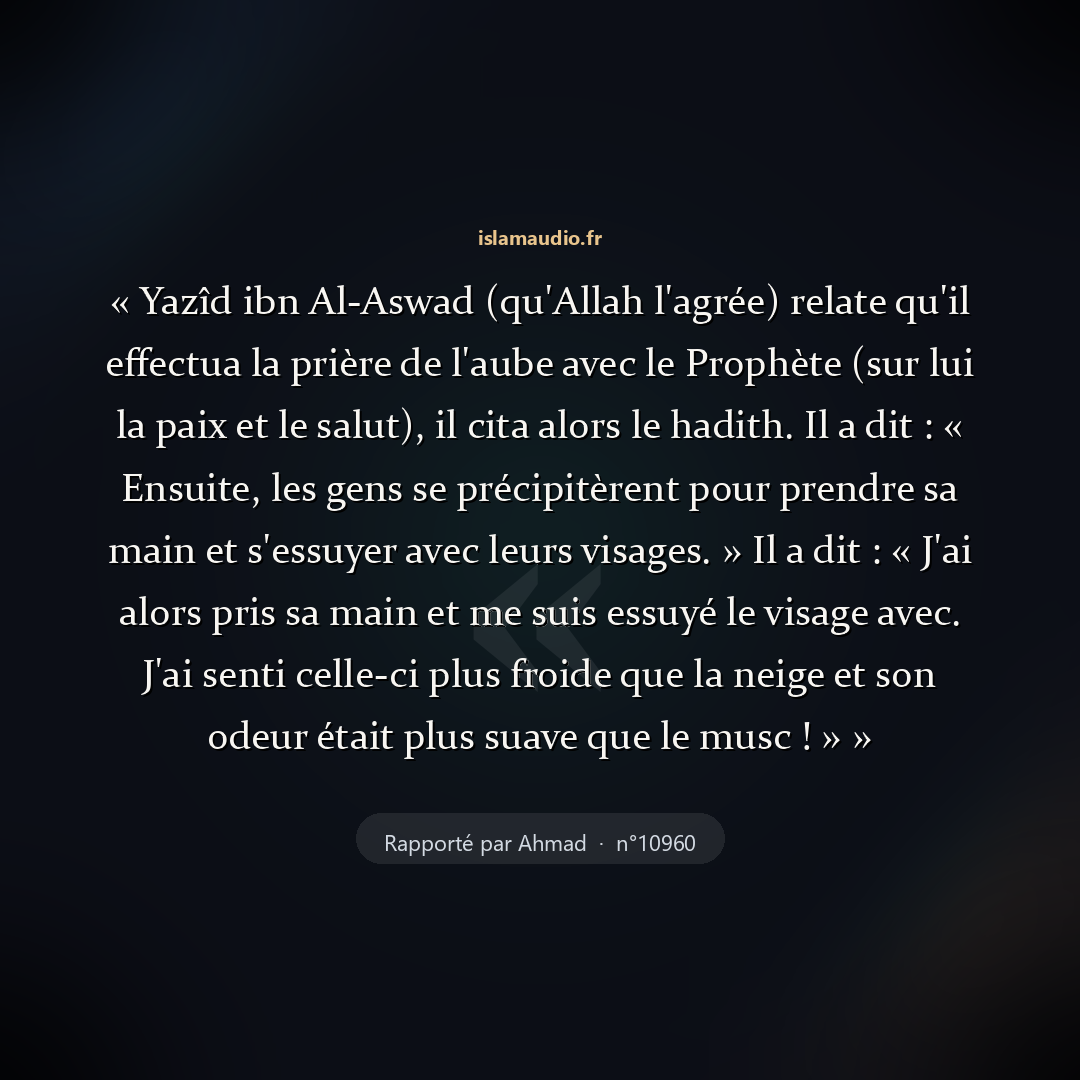 Aperçu du hadith