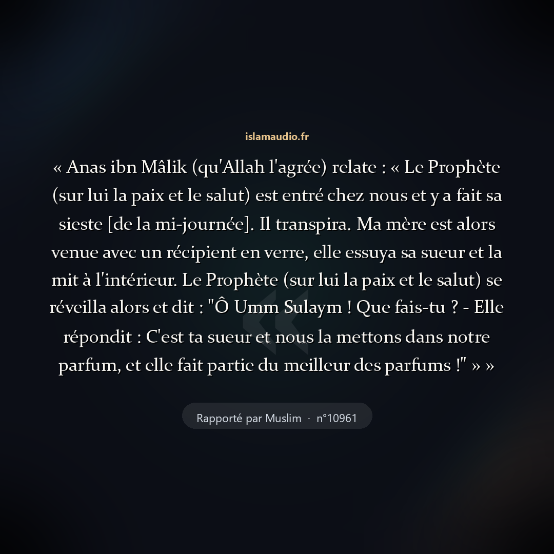 Aperçu du hadith