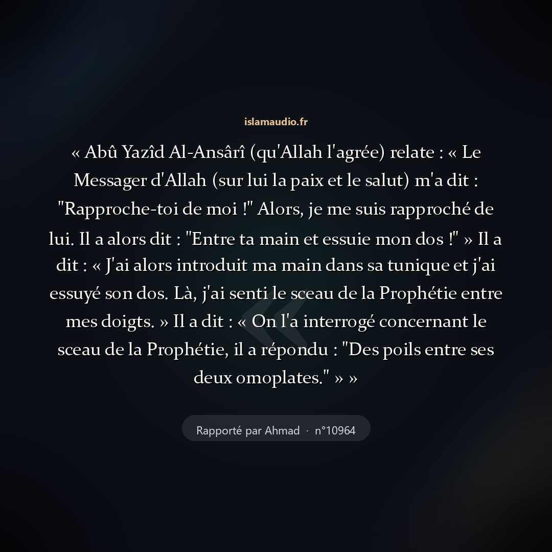 Aperçu du hadith
