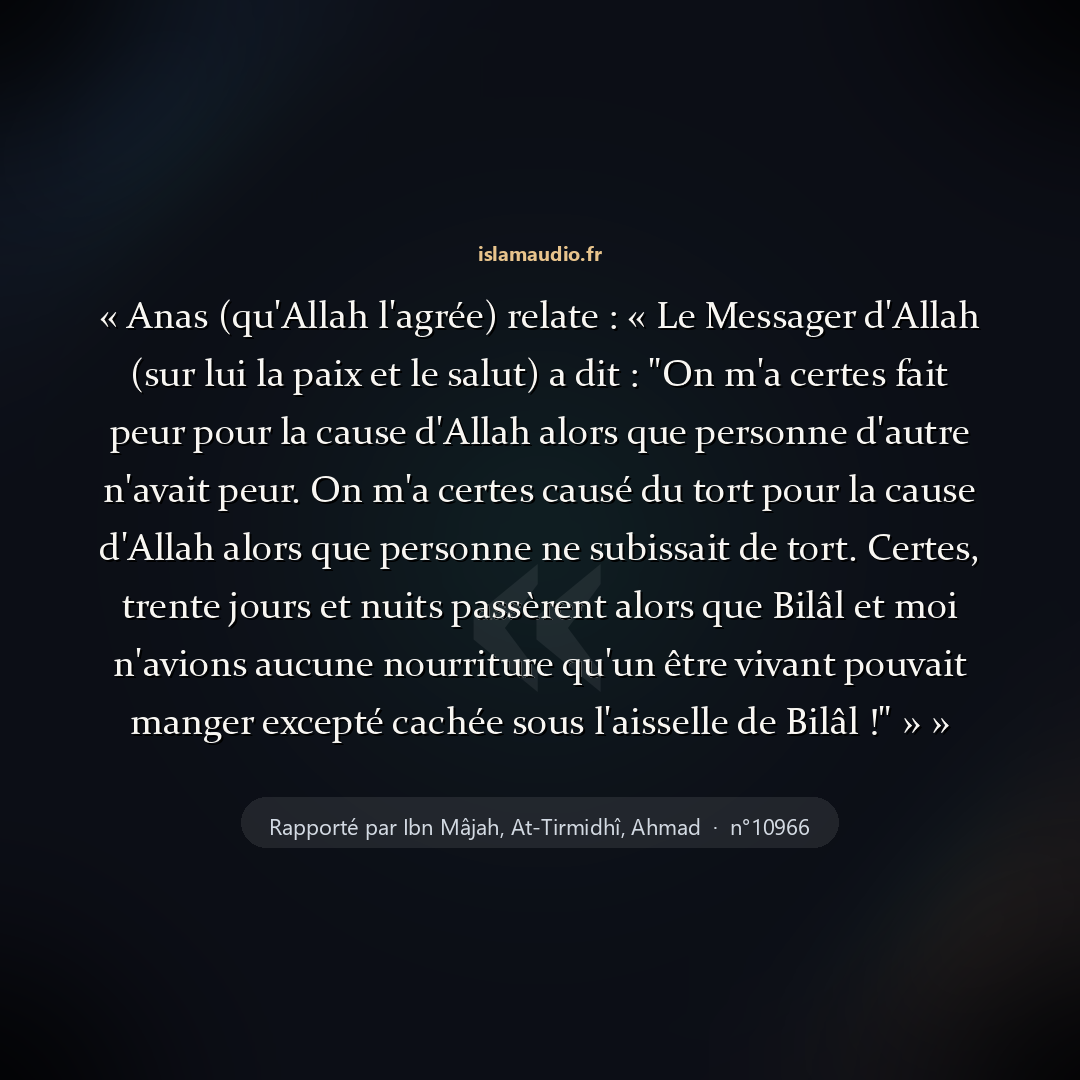 Aperçu du hadith
