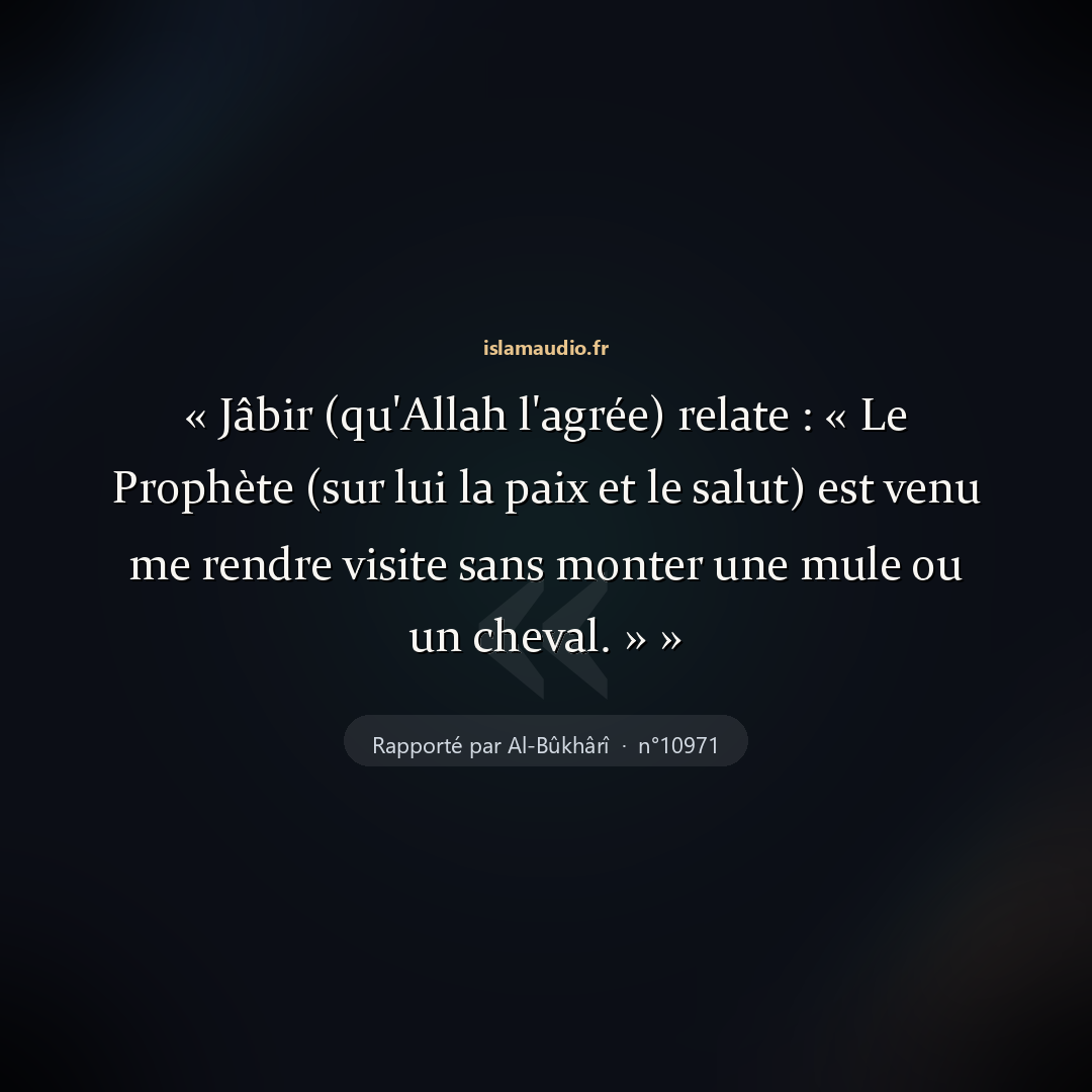 Aperçu du hadith
