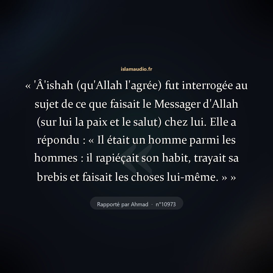 Aperçu du hadith