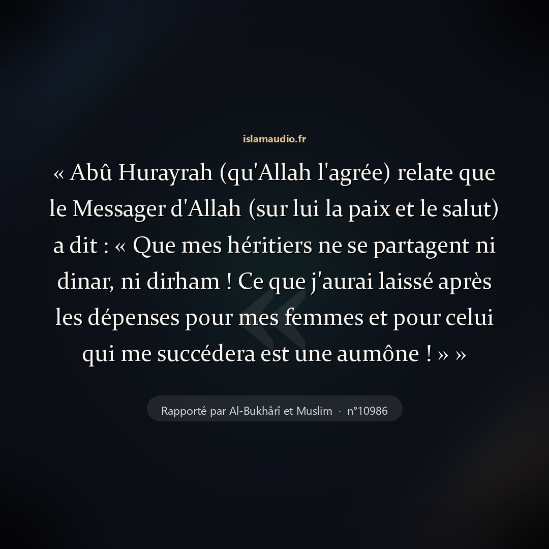 Aperçu du hadith