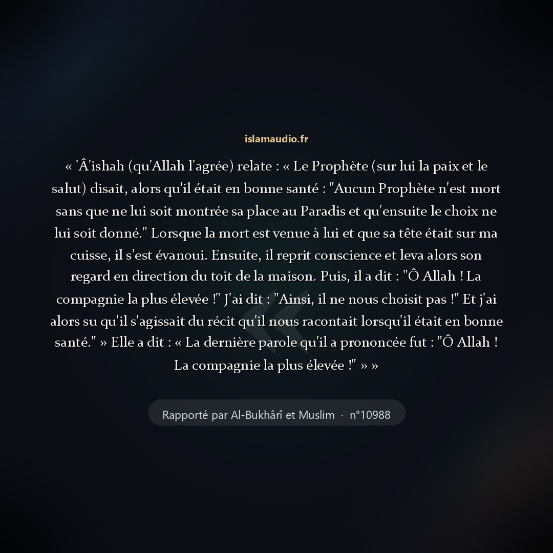 Aperçu du hadith