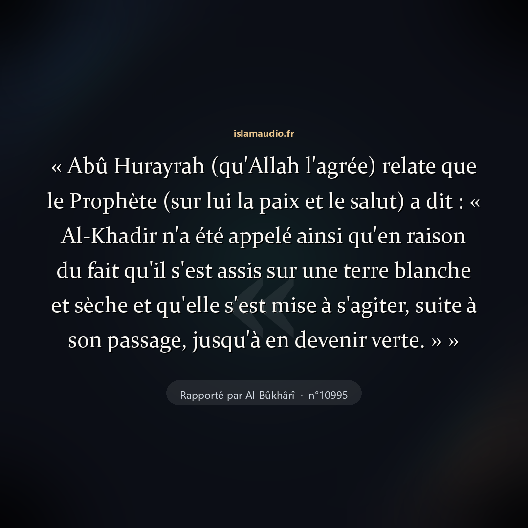 Aperçu du hadith