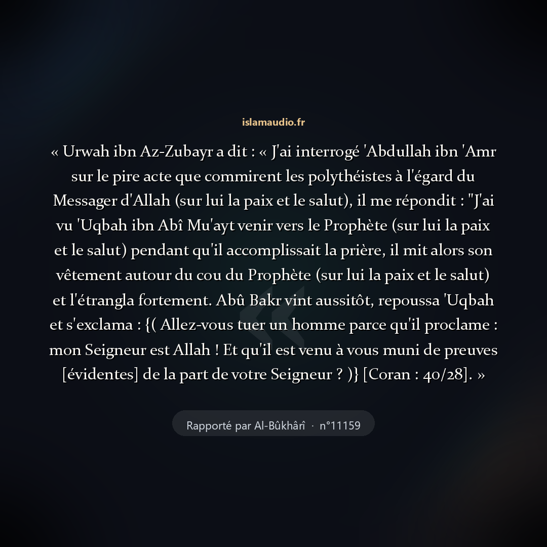 Aperçu du hadith