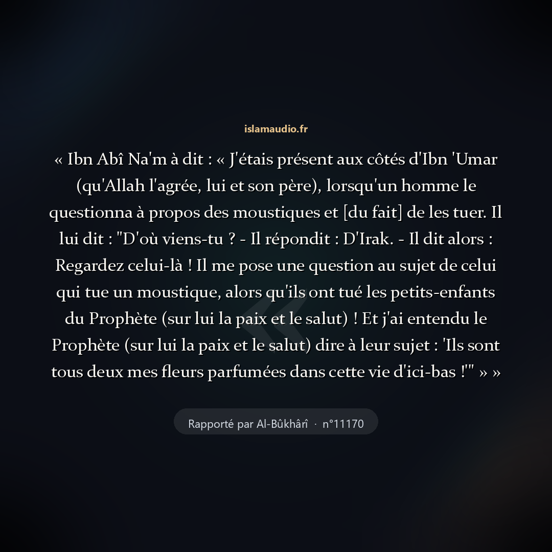 Aperçu du hadith