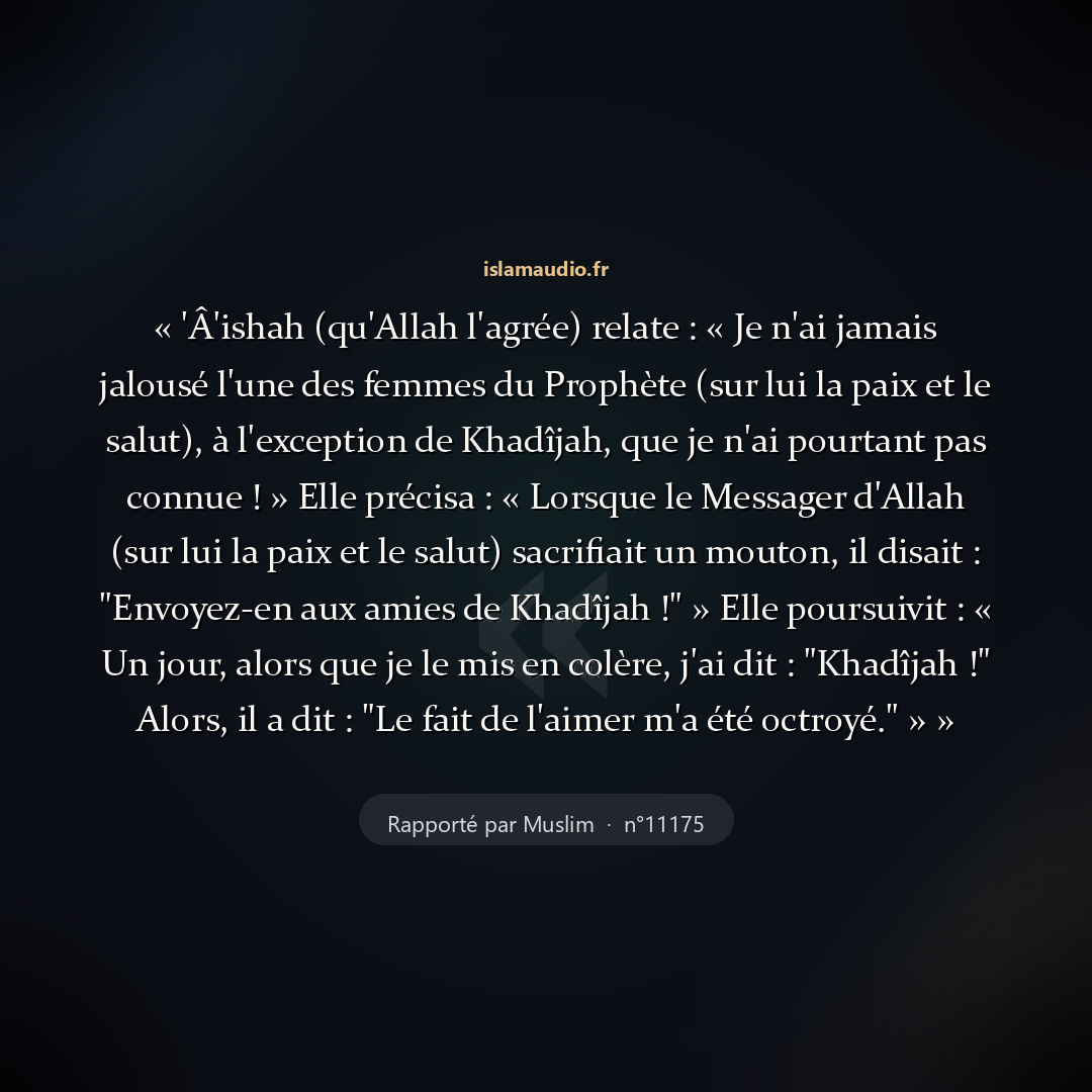 Aperçu du hadith