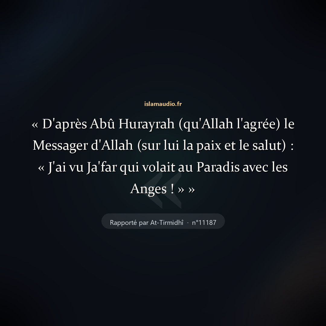 Aperçu du hadith