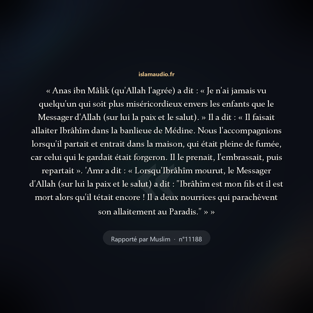 Aperçu du hadith