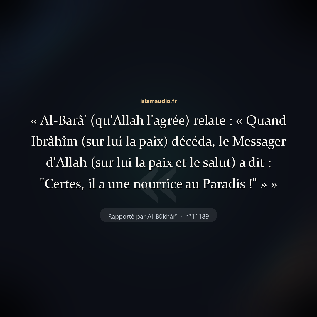 Aperçu du hadith