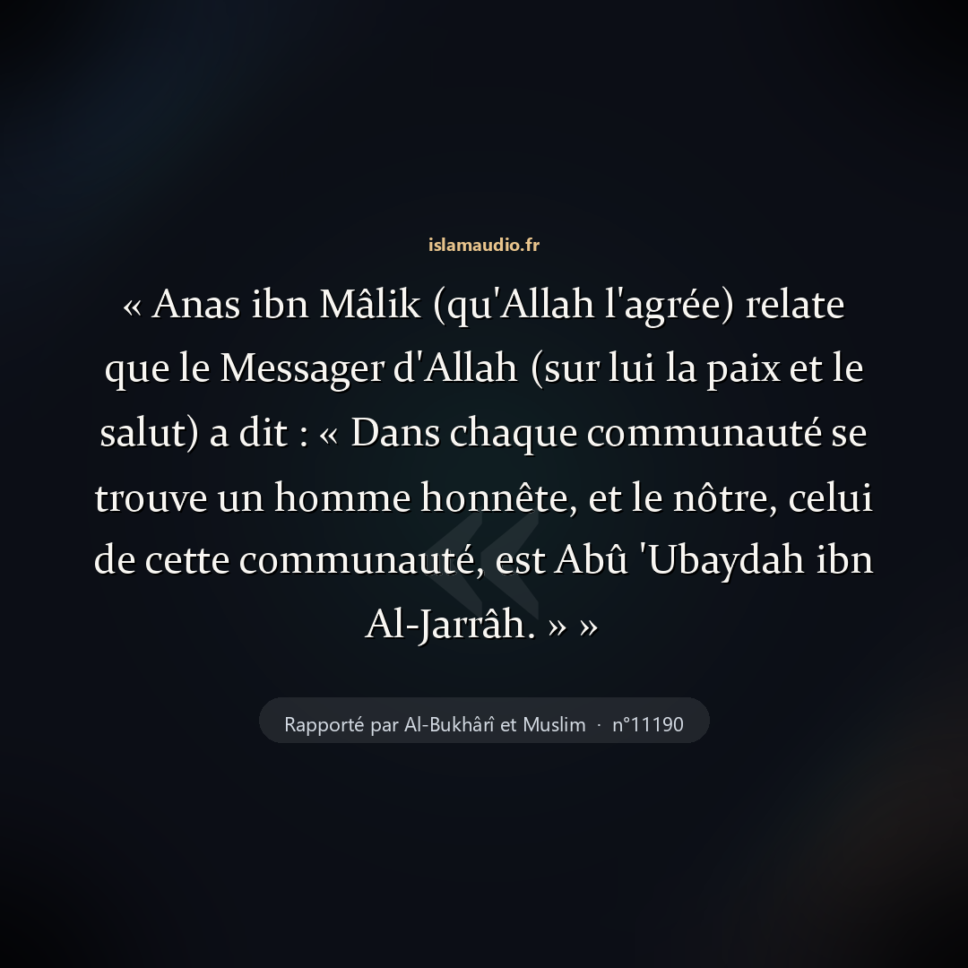 Aperçu du hadith