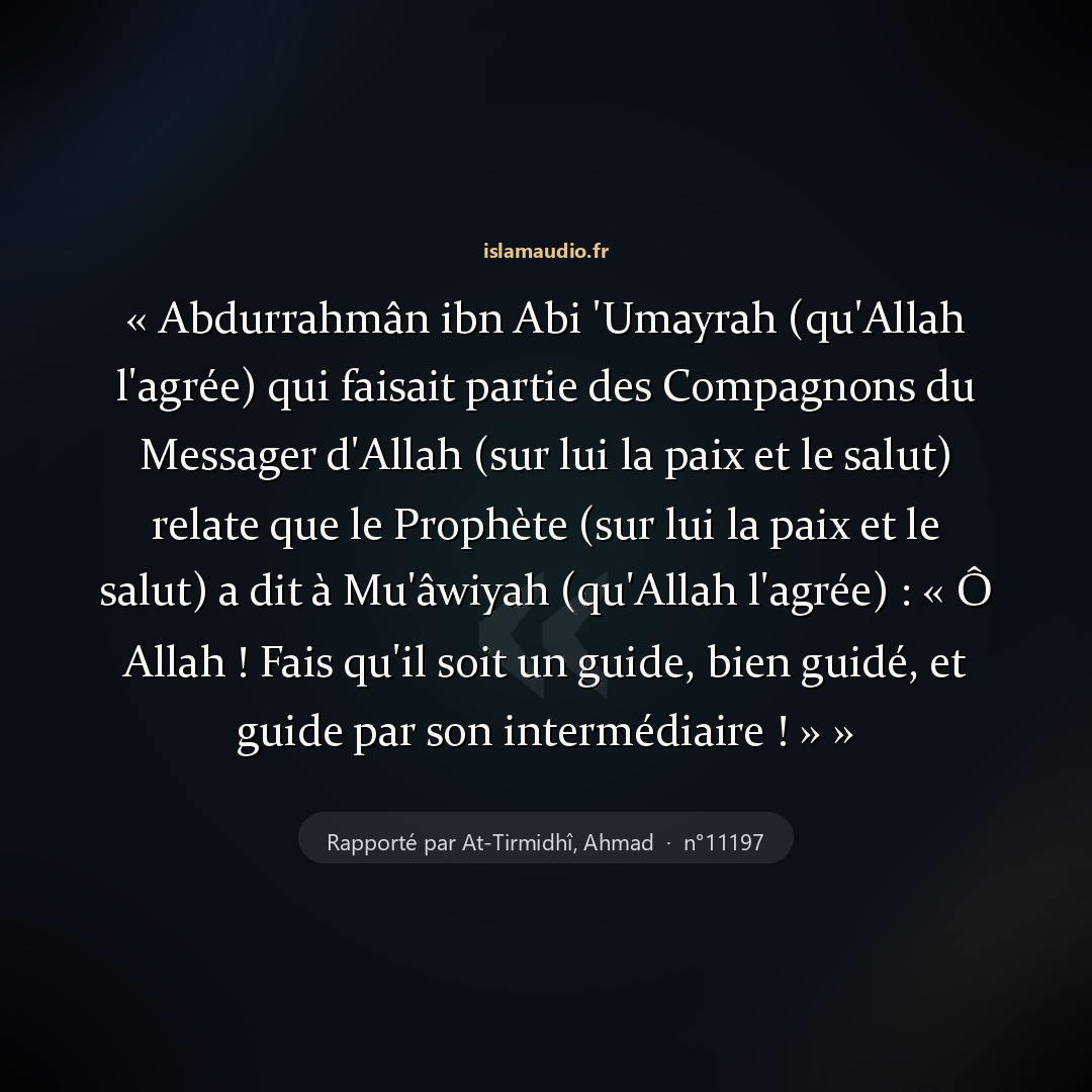 Aperçu du hadith