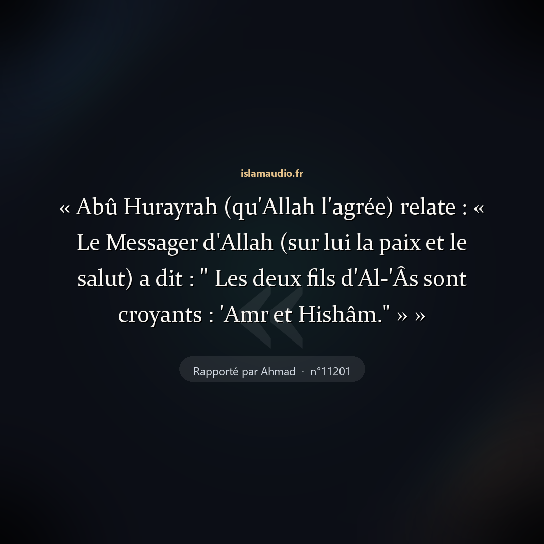 Aperçu du hadith