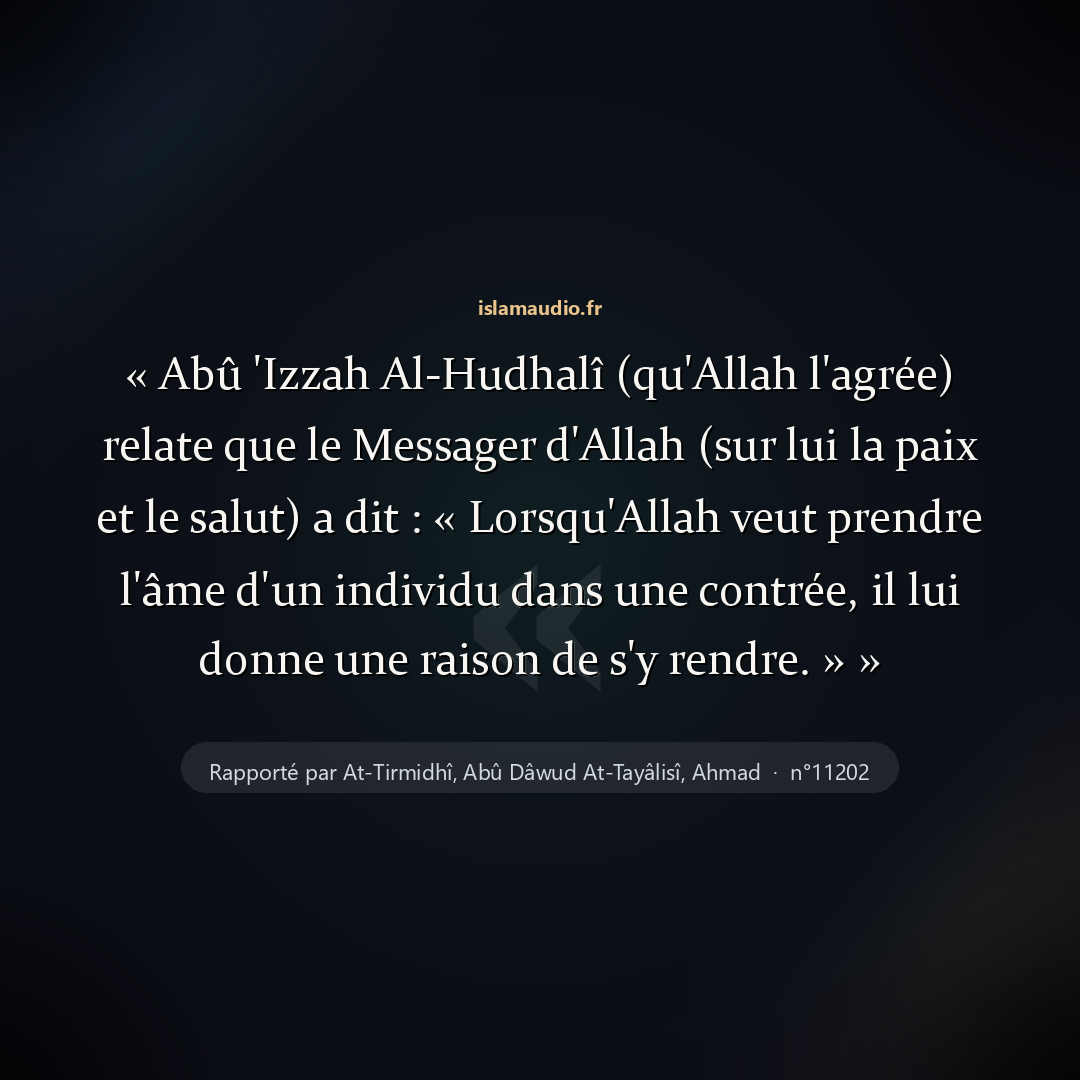 Aperçu du hadith