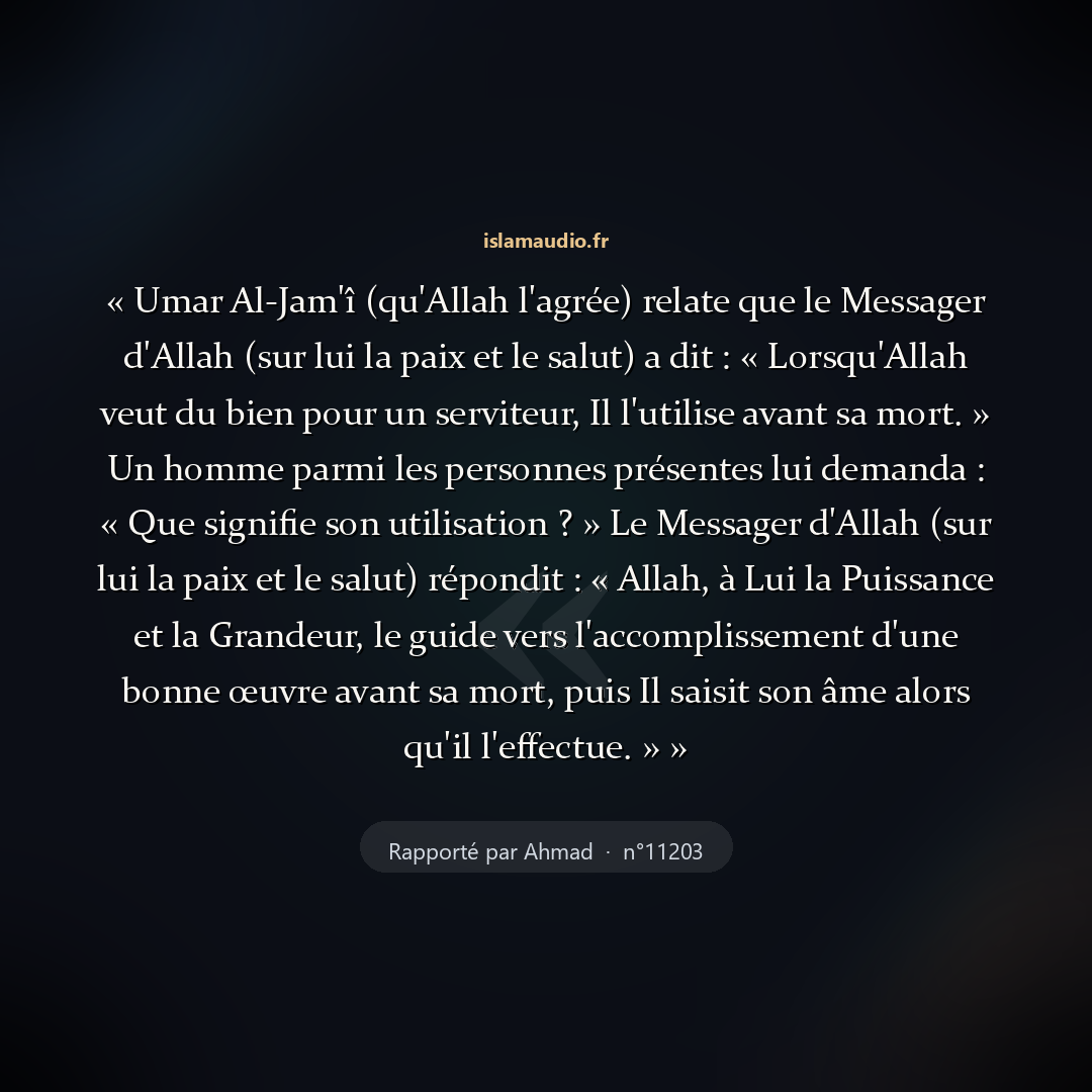 Aperçu du hadith
