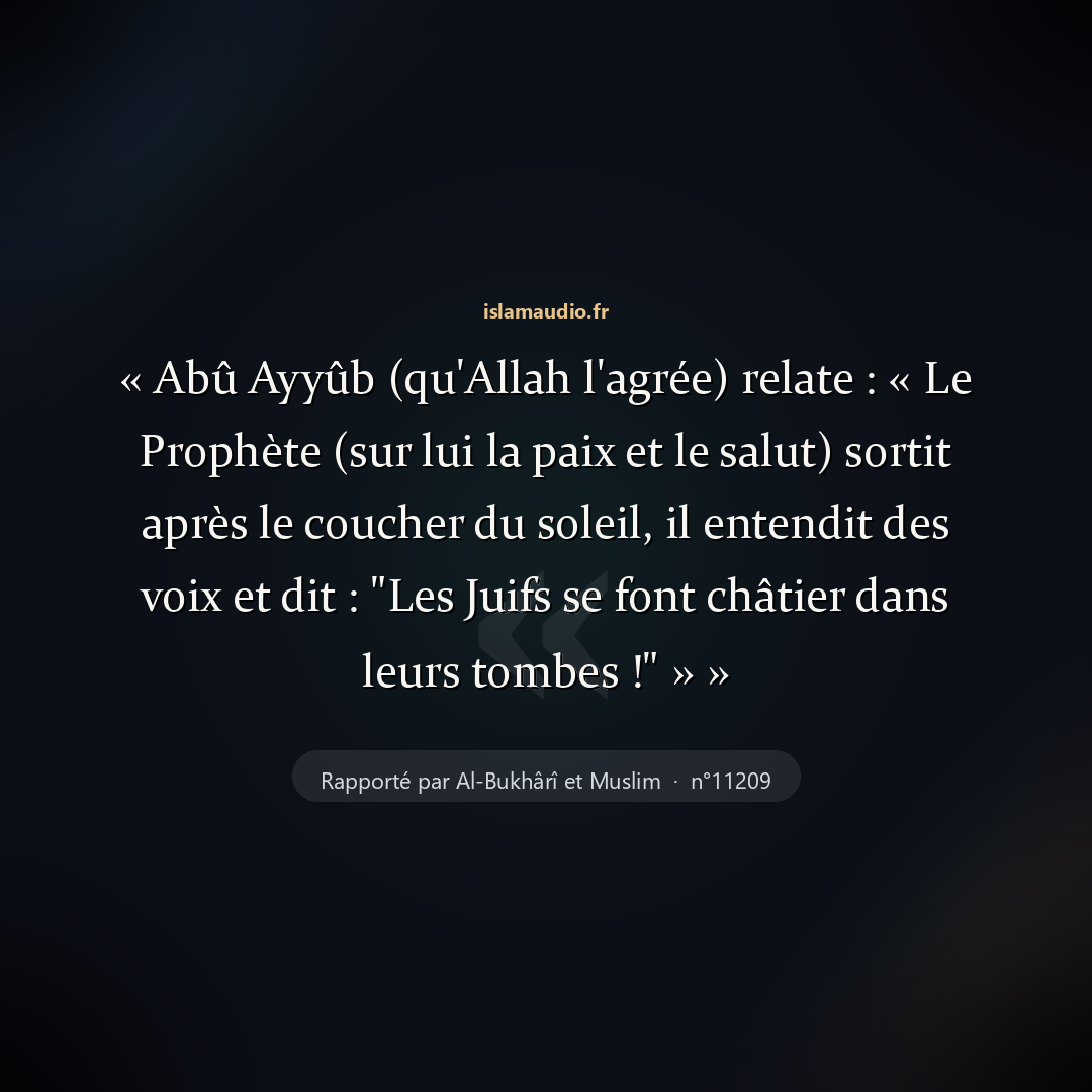 Aperçu du hadith