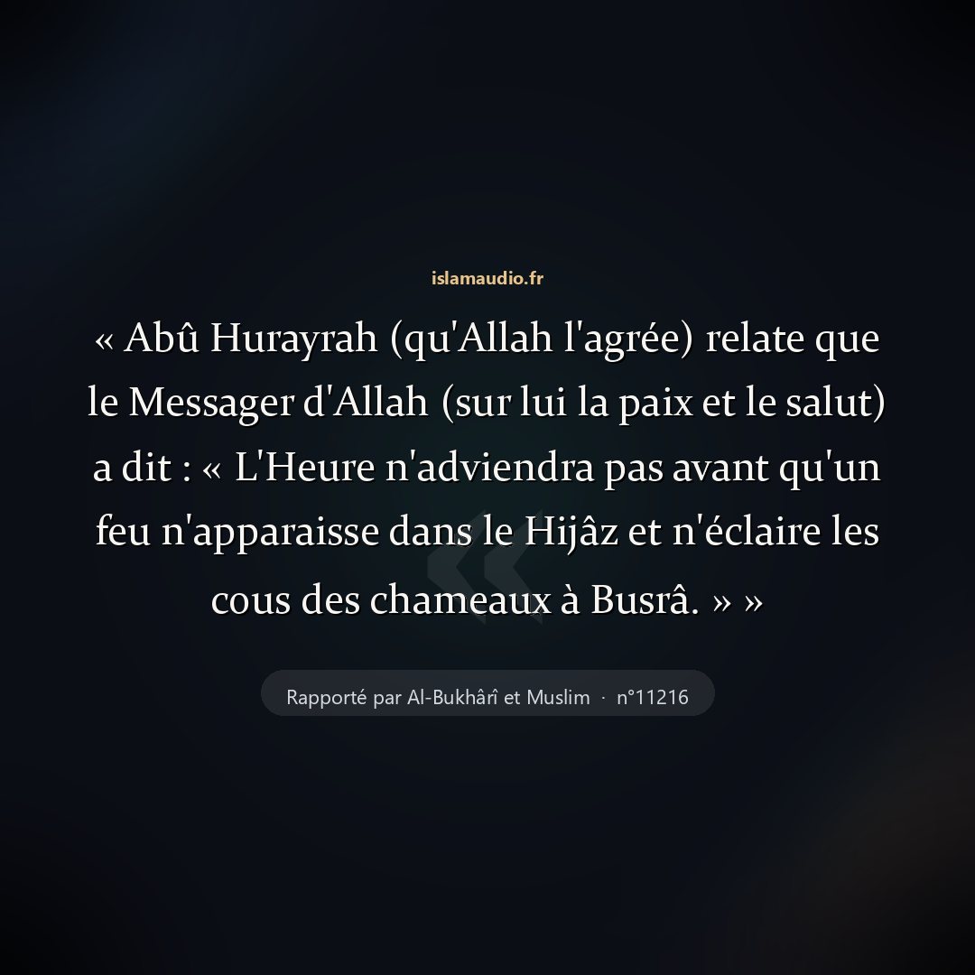 Aperçu du hadith