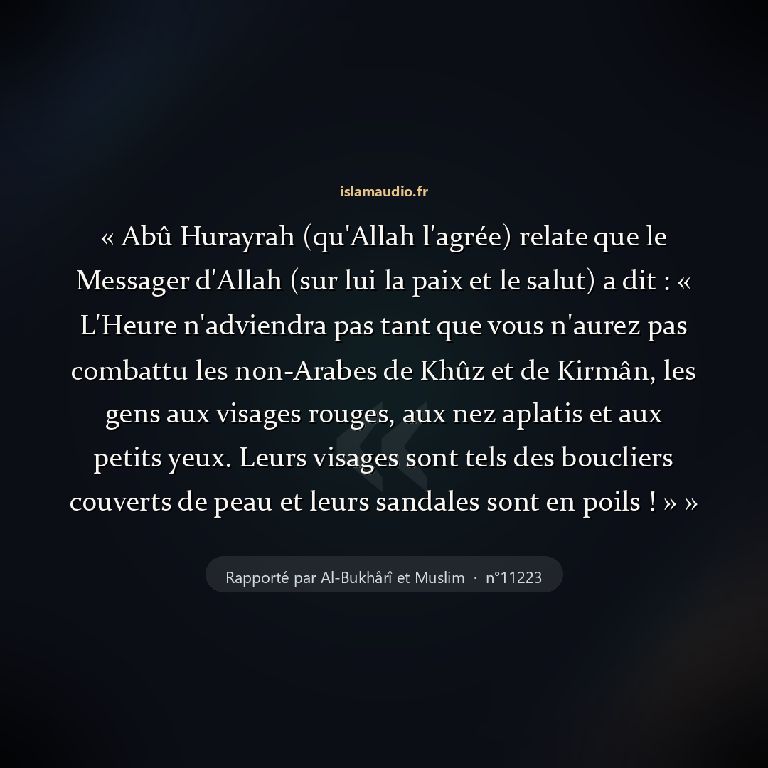 Aperçu du hadith