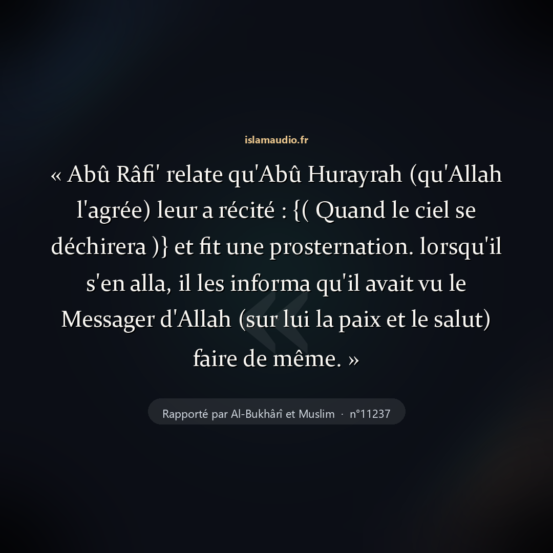 Aperçu du hadith