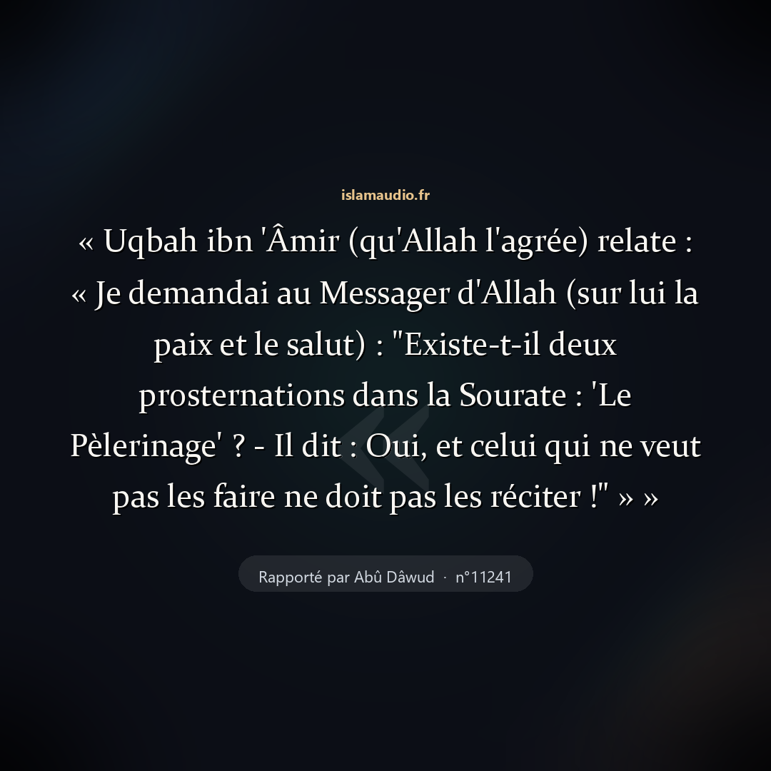 Aperçu du hadith