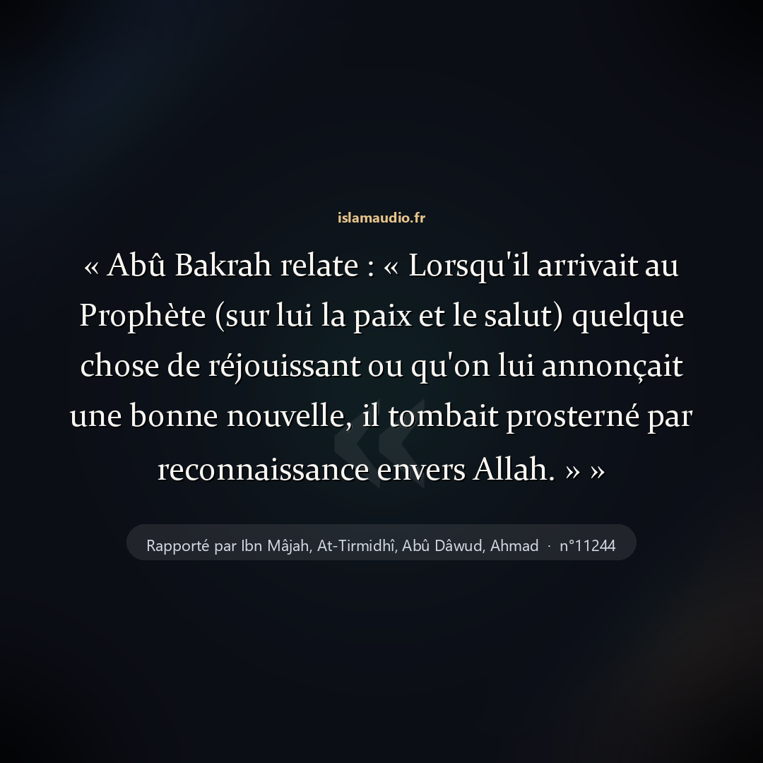 Aperçu du hadith