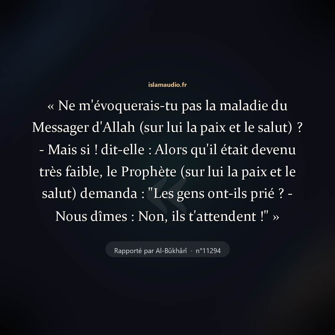 Aperçu du hadith