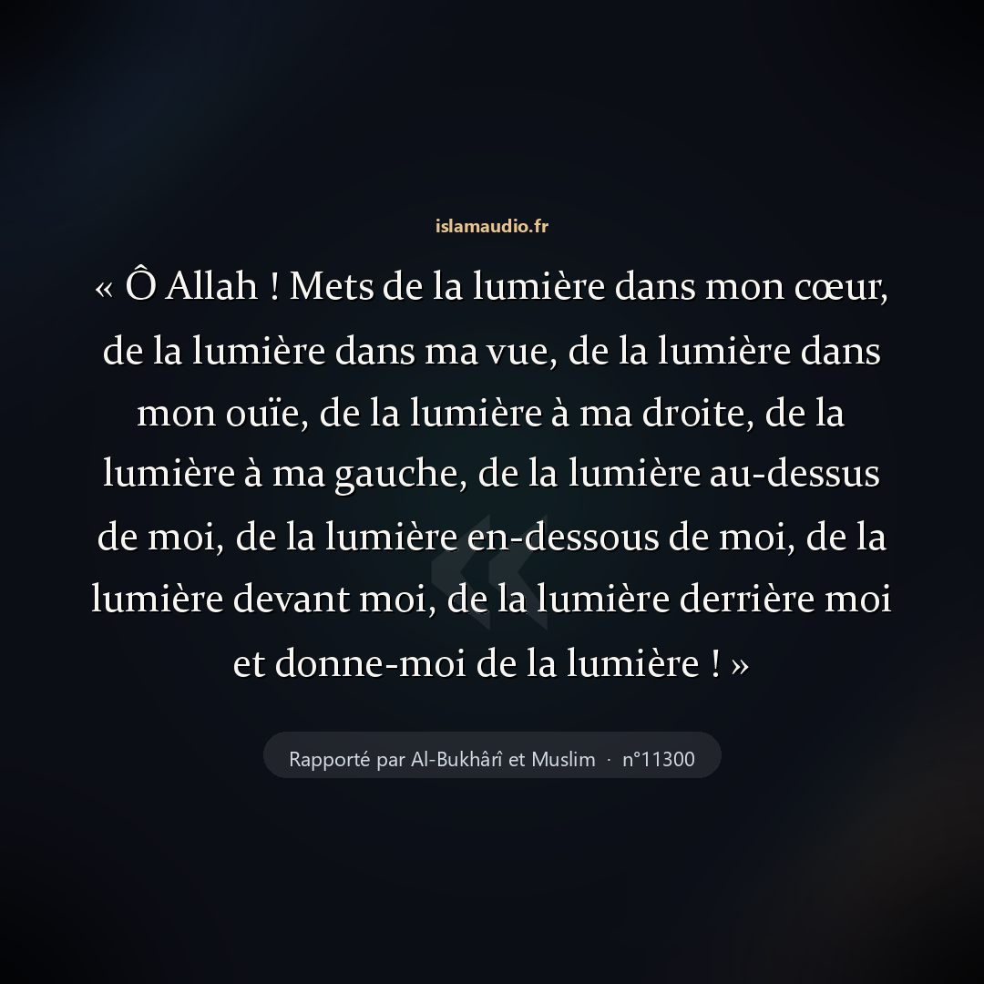 Aperçu du hadith