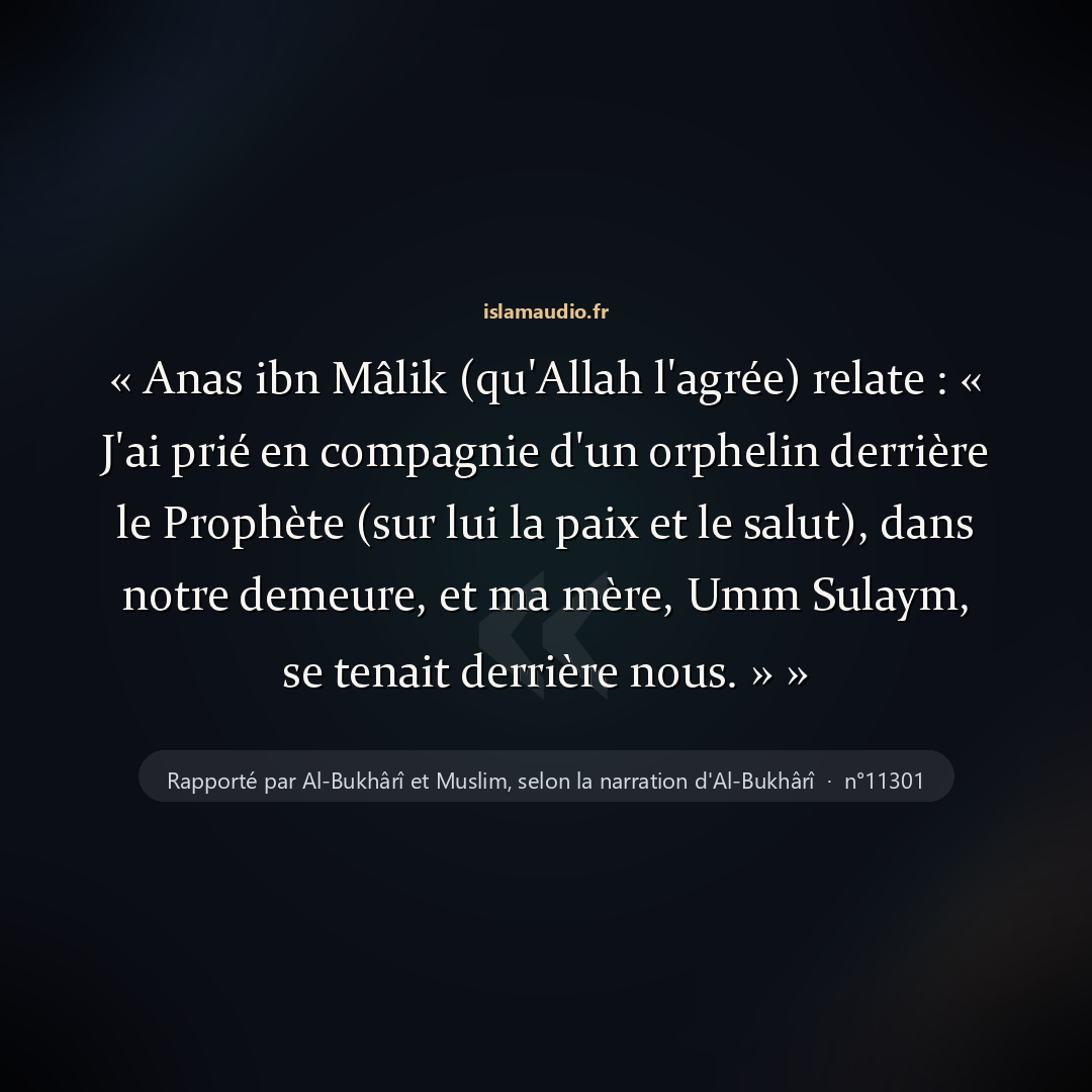 Aperçu du hadith