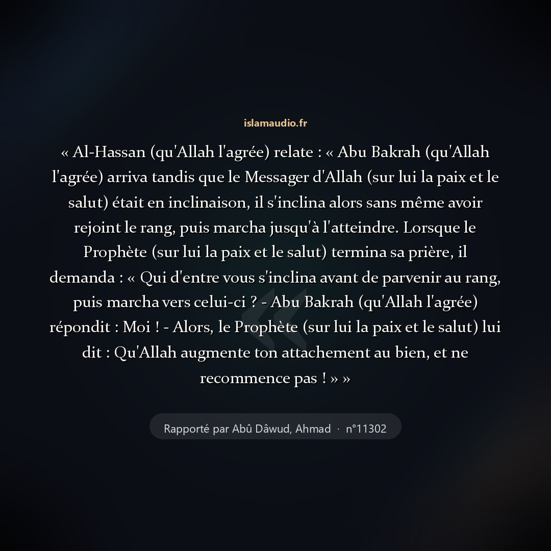 Aperçu du hadith