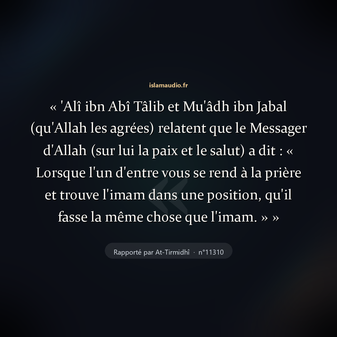 Aperçu du hadith