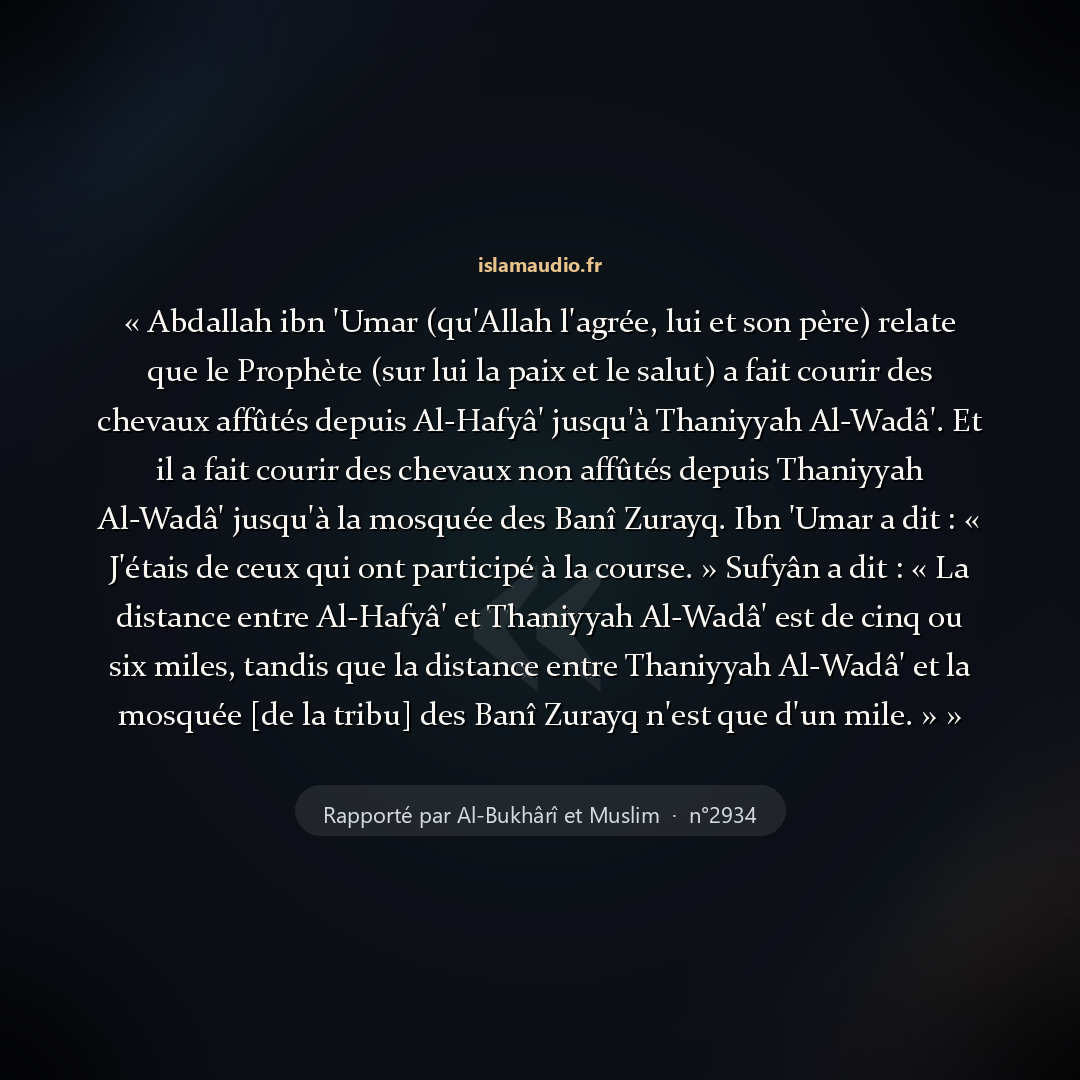 Aperçu du hadith