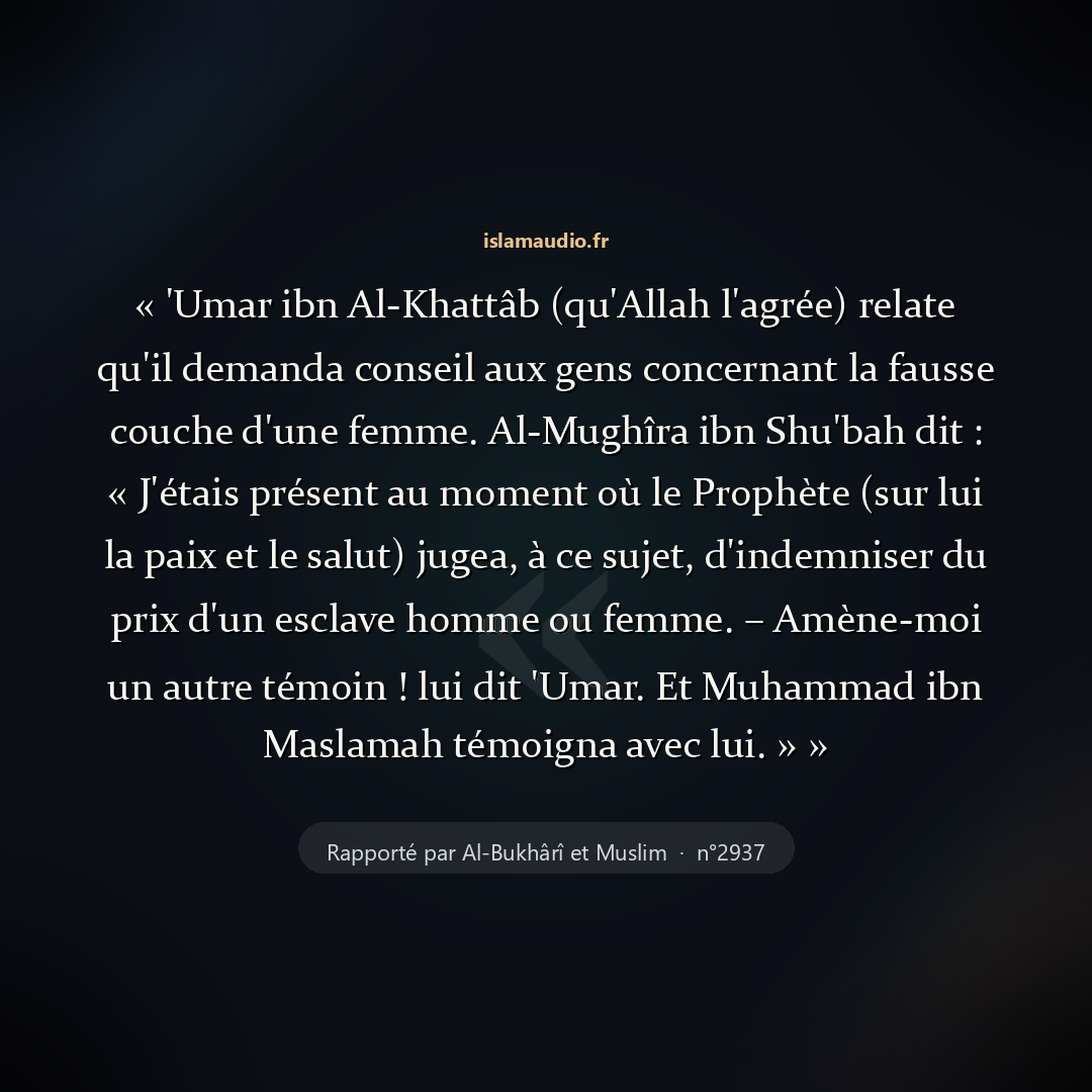 Aperçu du hadith