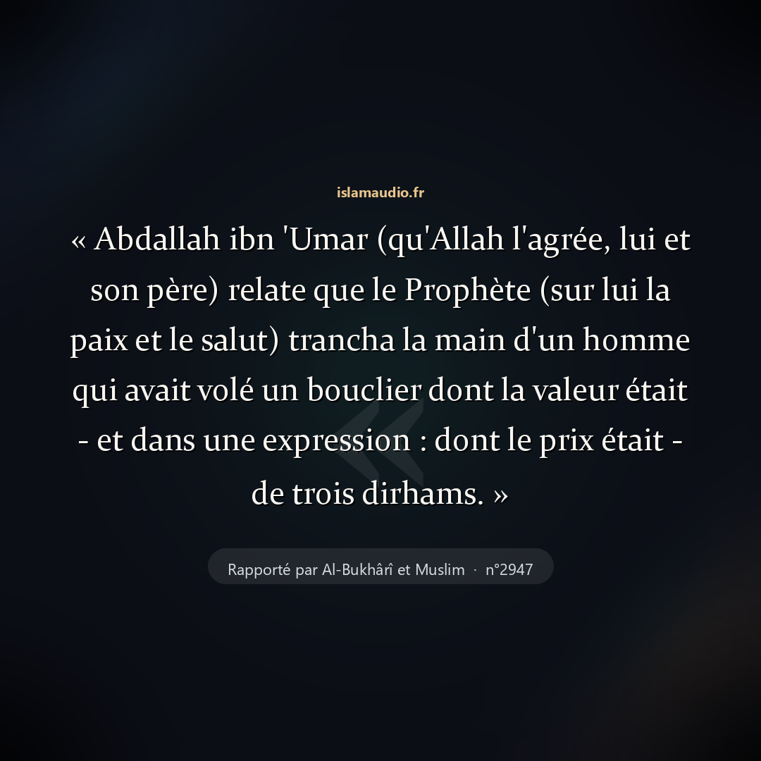 Aperçu du hadith