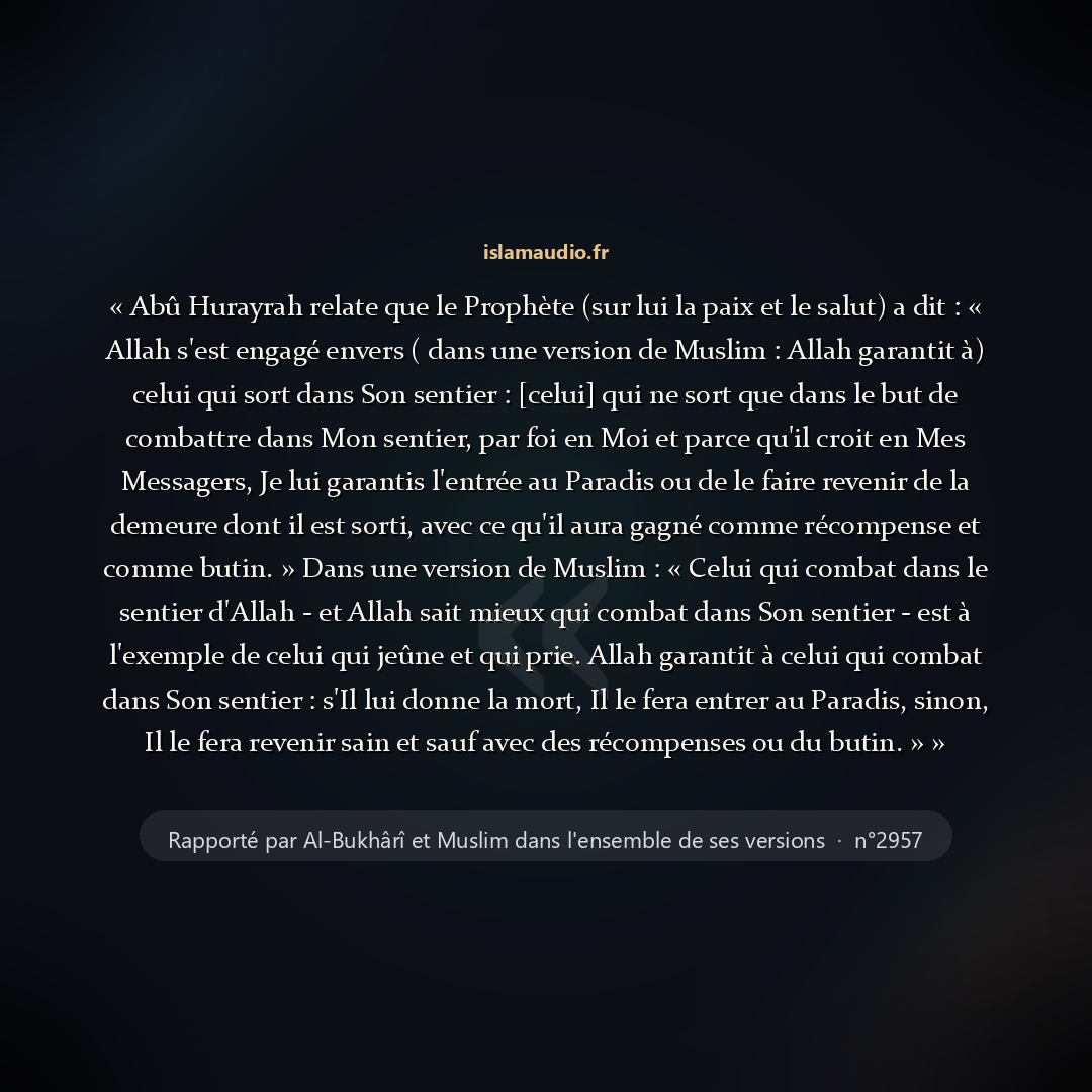 Aperçu du hadith