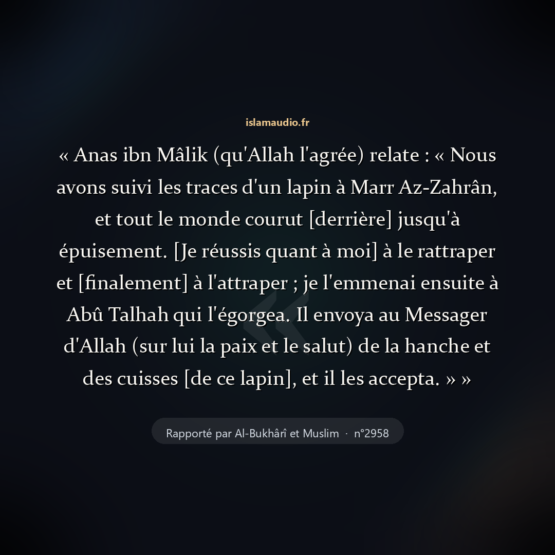 Aperçu du hadith