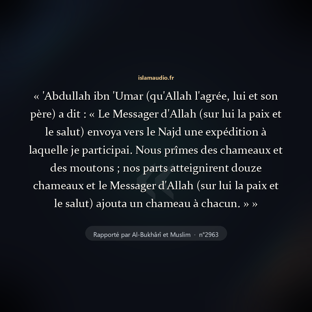 Aperçu du hadith
