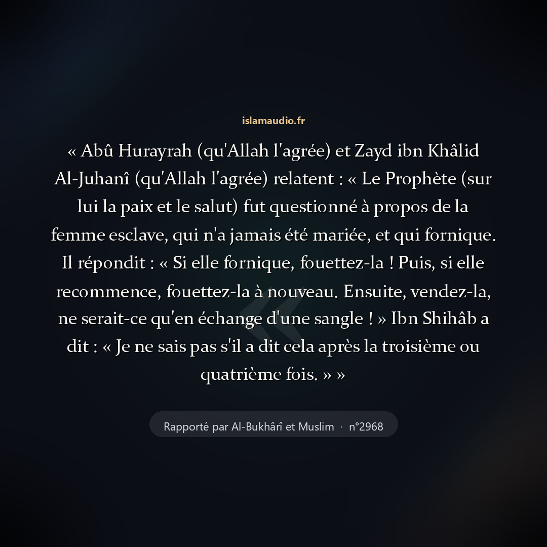 Aperçu du hadith